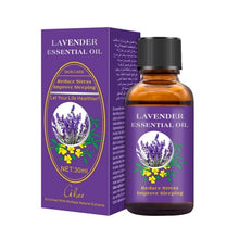 Load image into Gallery viewer, Rose Ginger Essential Oils Aromatherapy Diffusers