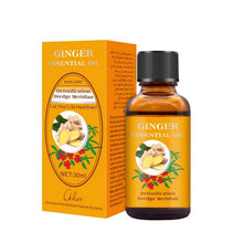 Load image into Gallery viewer, Rose Ginger Essential Oils Aromatherapy Diffusers